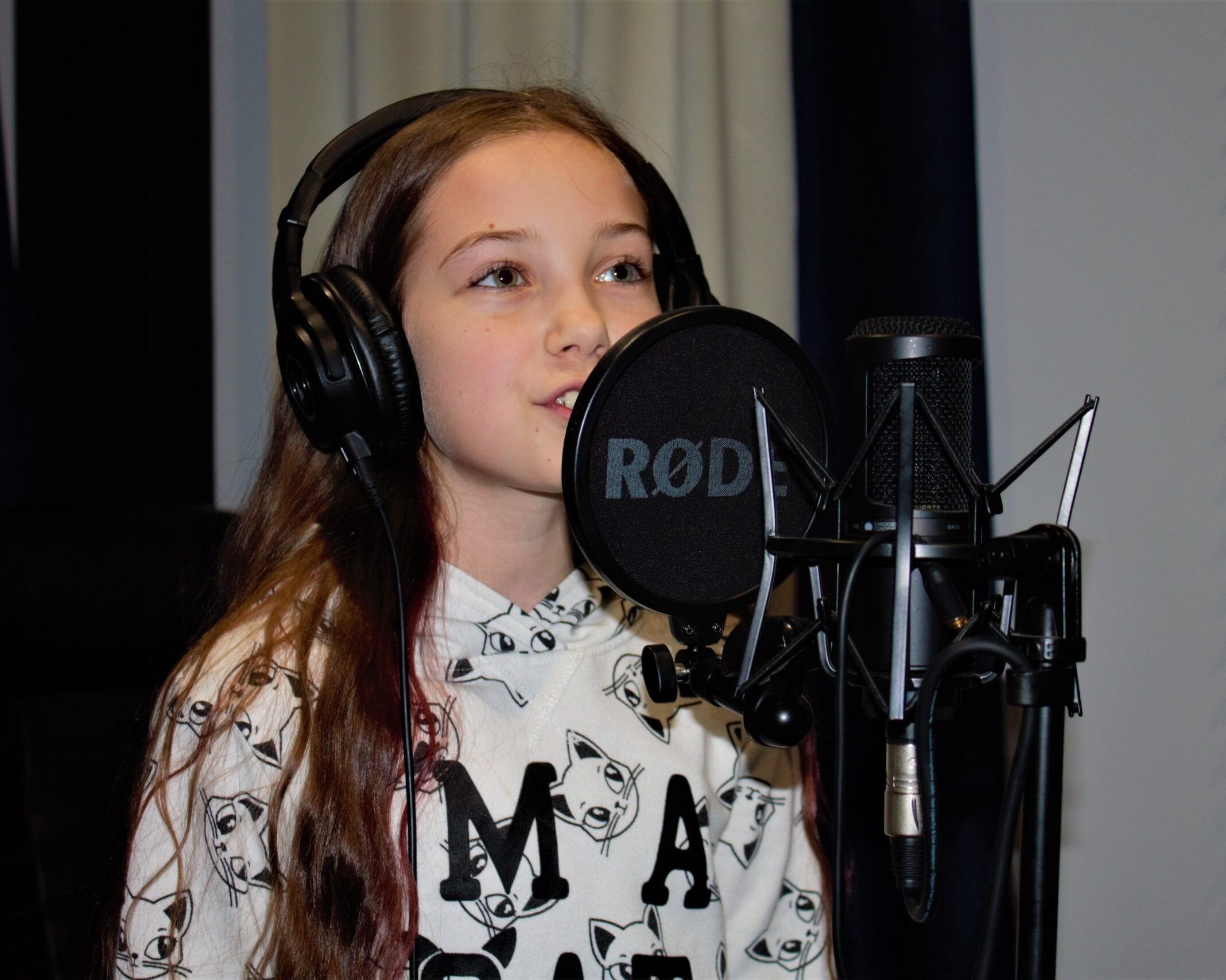 Звукозапис, аранжування, фонограми мінус