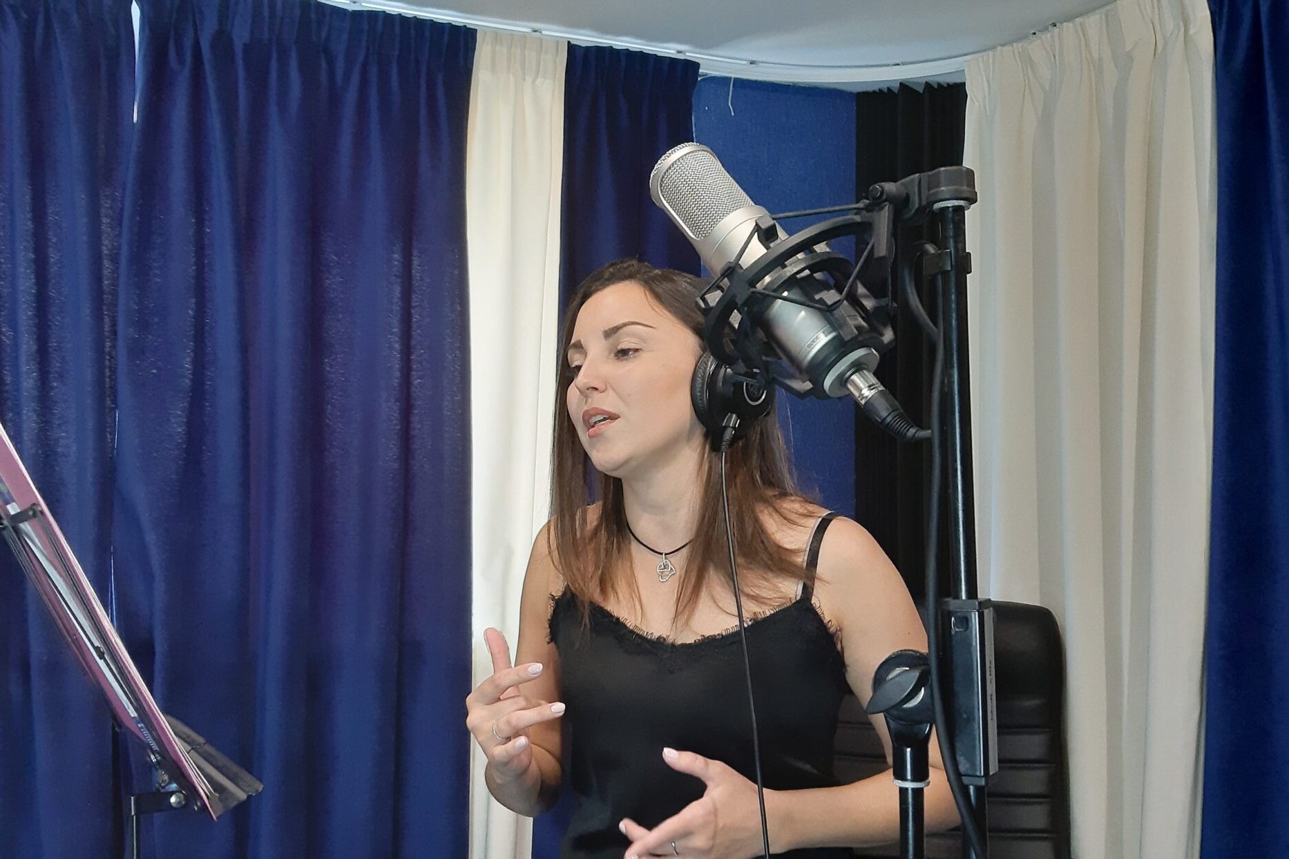 Звукозапис, аранжування, фонограми мінус